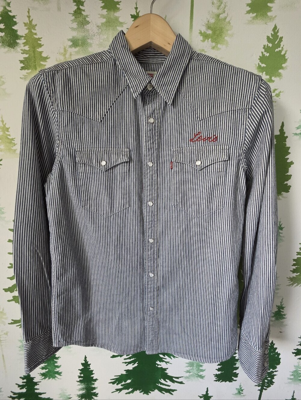 Levi's Black and White Striped Western Button-Down Shirt